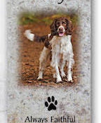 Pet Memorial Mini Panel 4" x 8"
